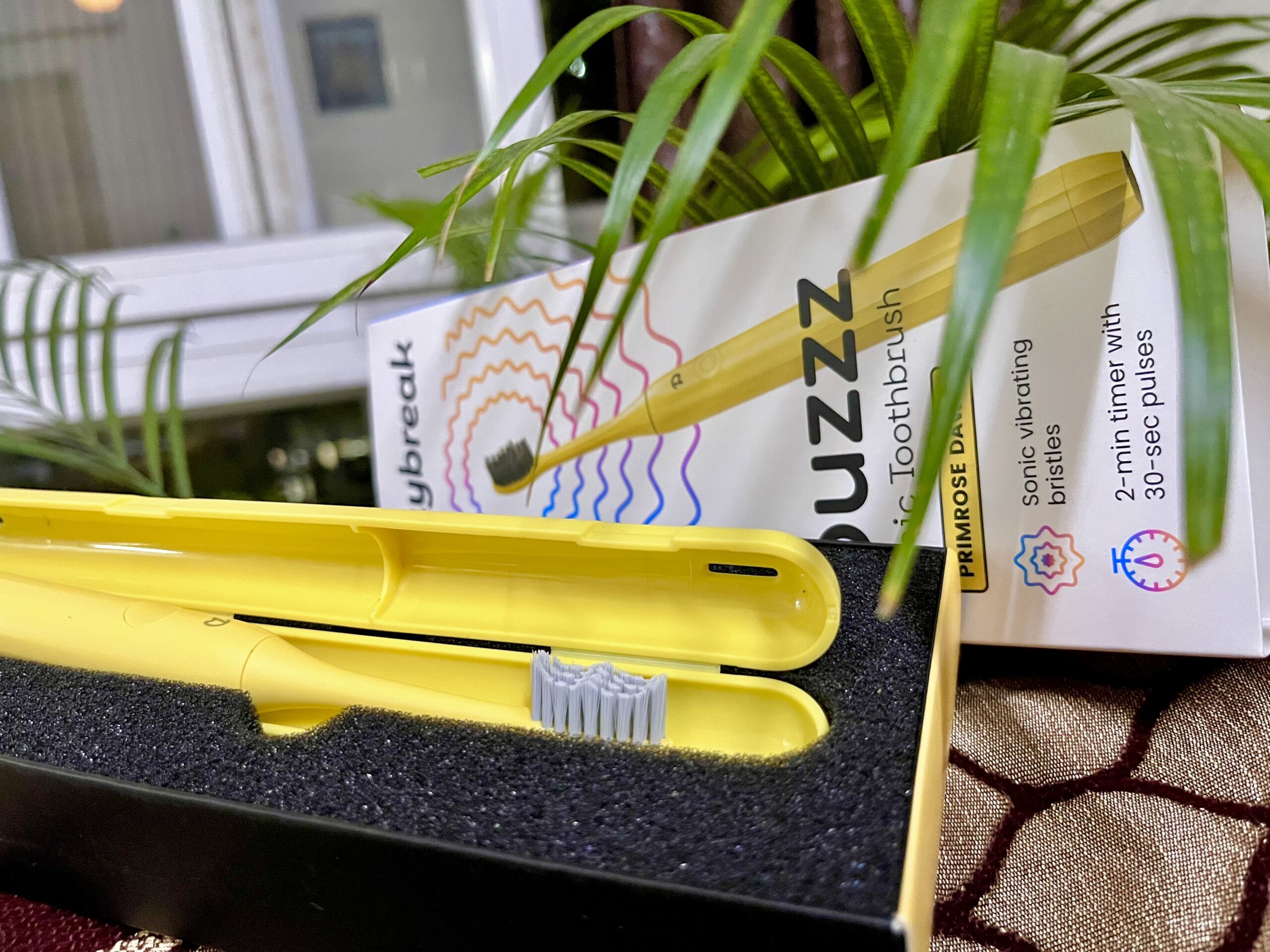buzzz electric toothbrush by daybreak